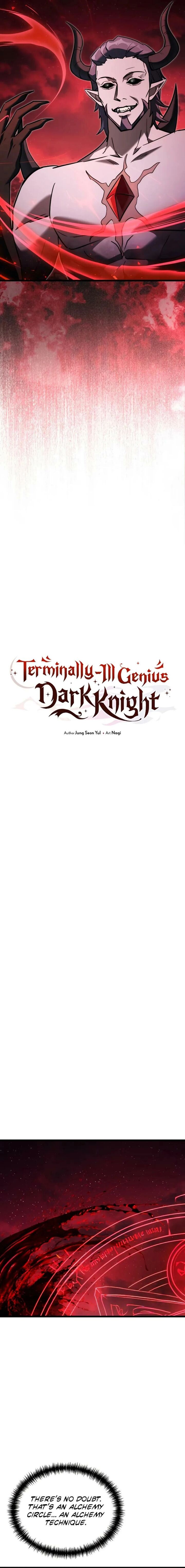 Terminally Ill Genius Dark Knight Chapter 139 Page 13