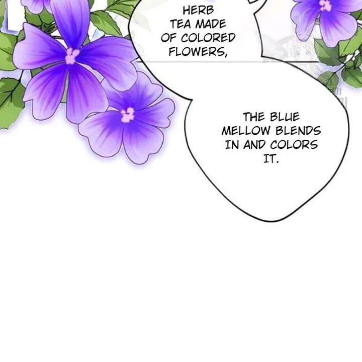 The Duchess 50 Tea Recipes Chapter 108 Page 20