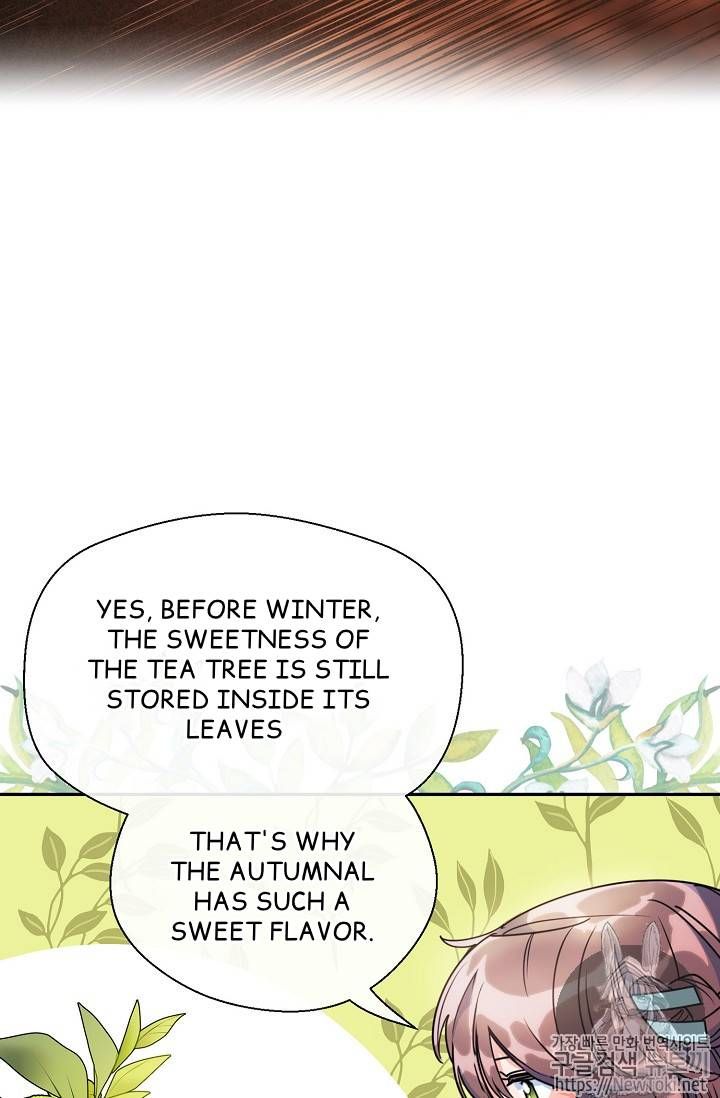 The Duchess 50 Tea Recipes Chapter 48 Page 41