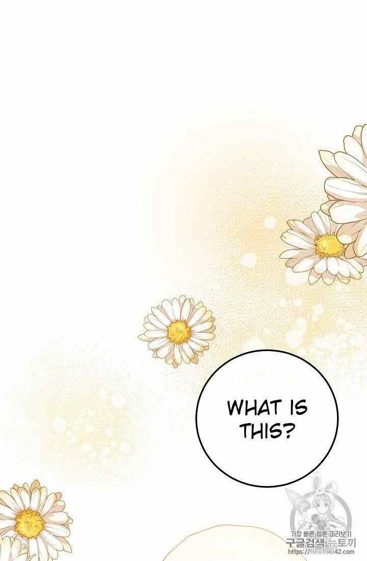 The Duchess 50 Tea Recipes Chapter 52 Page 28