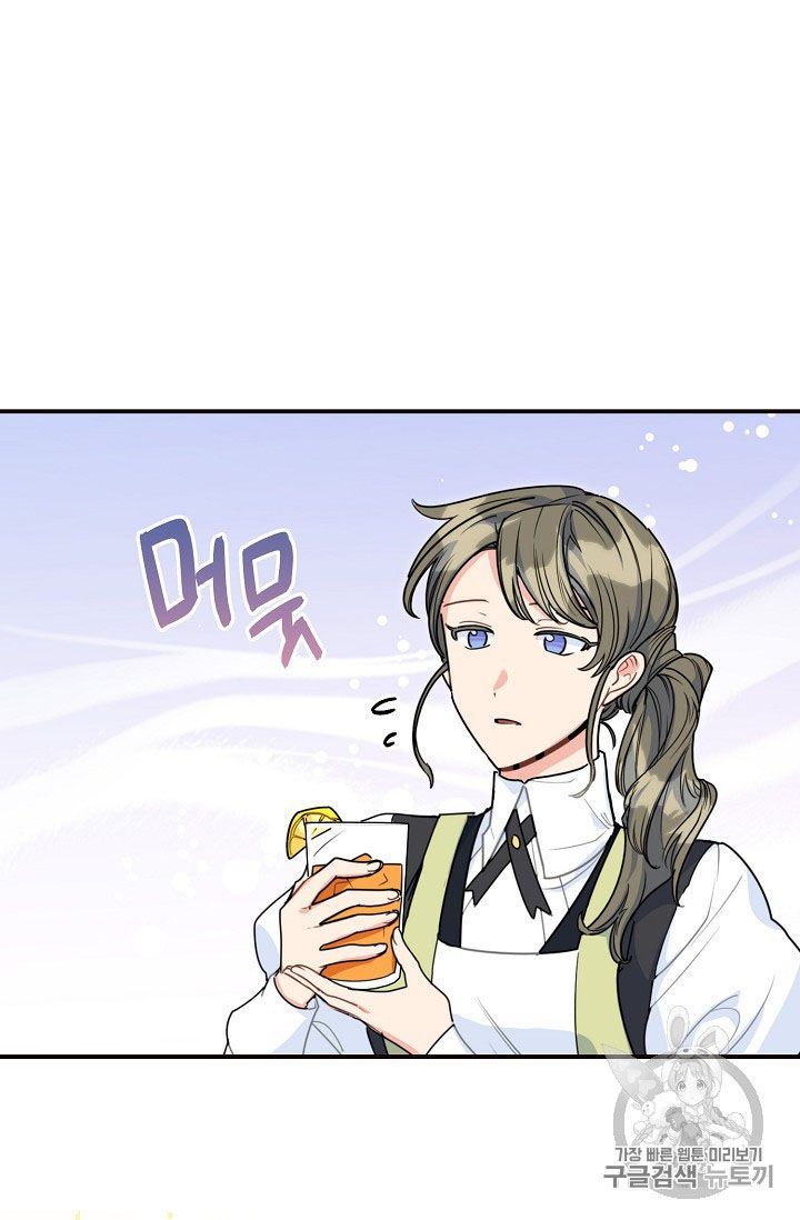 The Duchess 50 Tea Recipes Chapter 56 Page 47