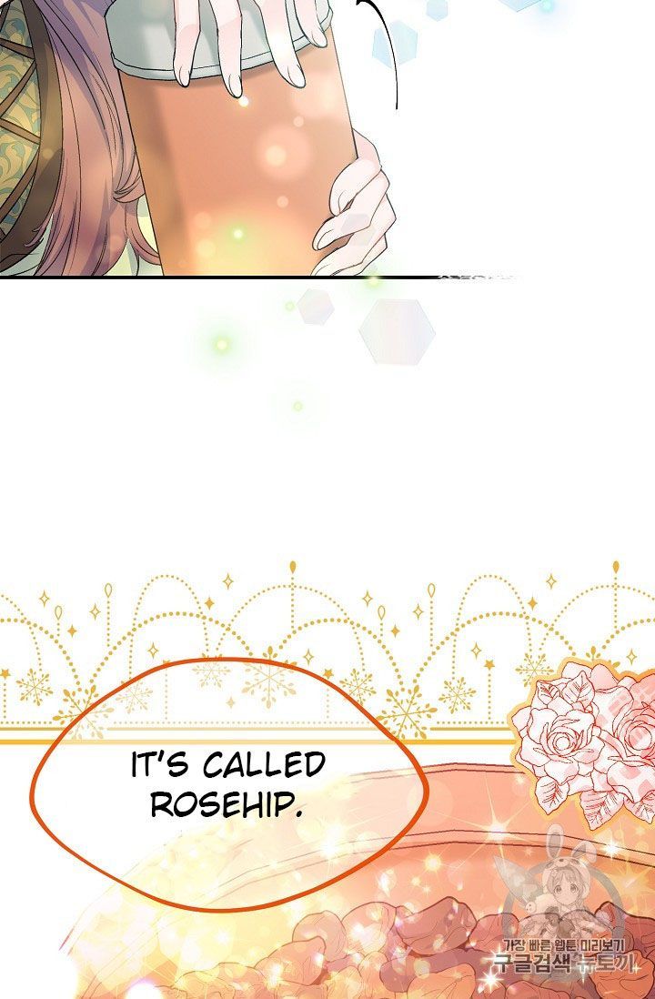 The Duchess 50 Tea Recipes Chapter 62 Page 3