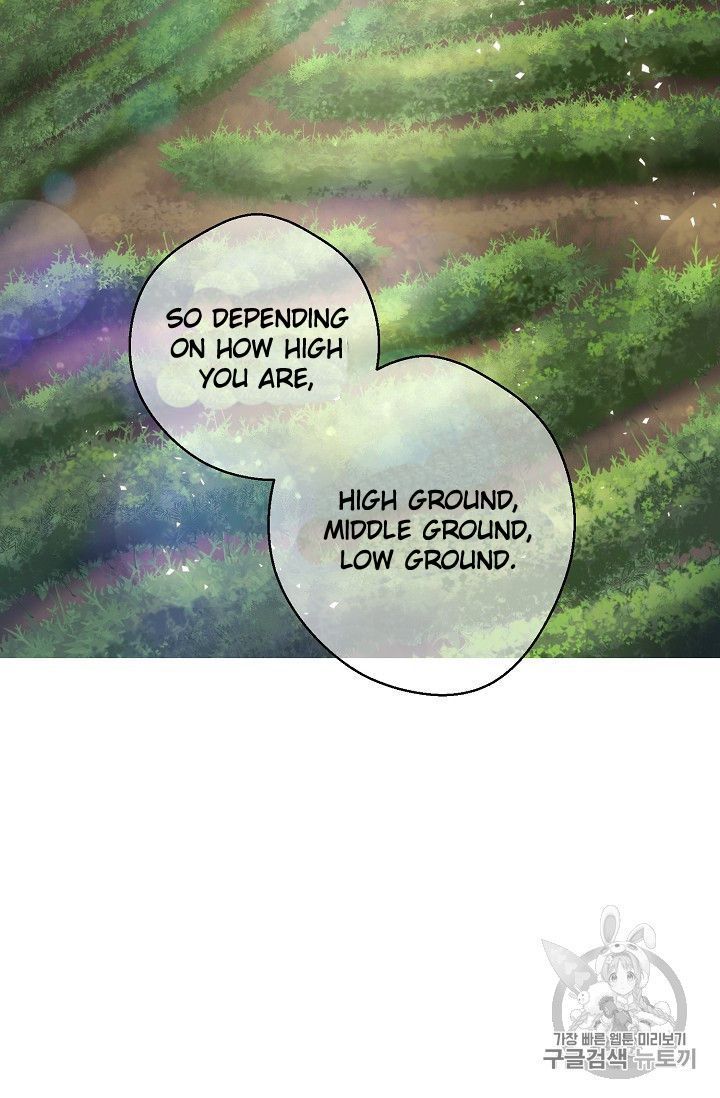 The Duchess 50 Tea Recipes Chapter 77 Page 19