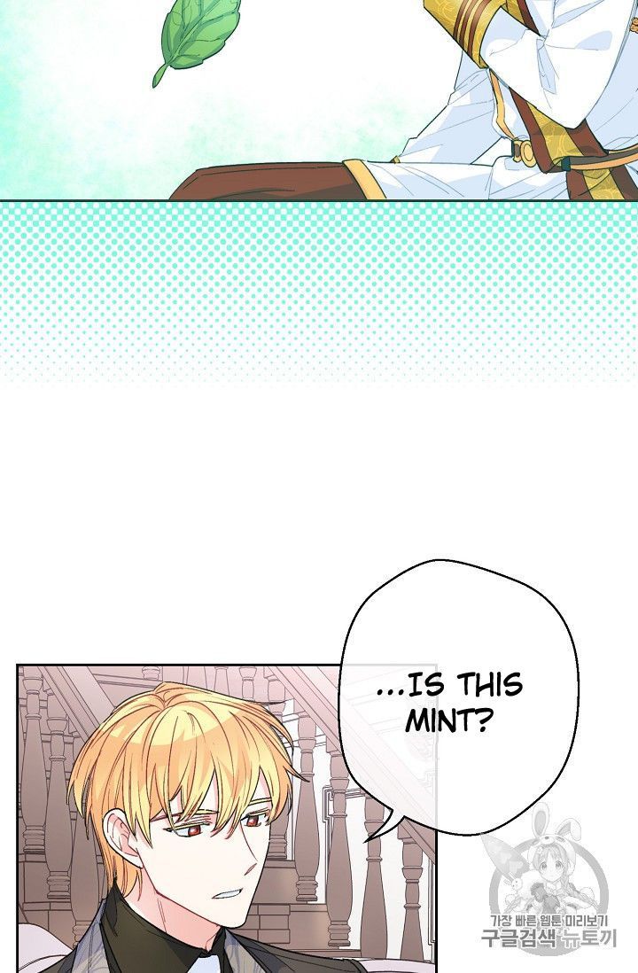 The Duchess 50 Tea Recipes Chapter 77 Page 38