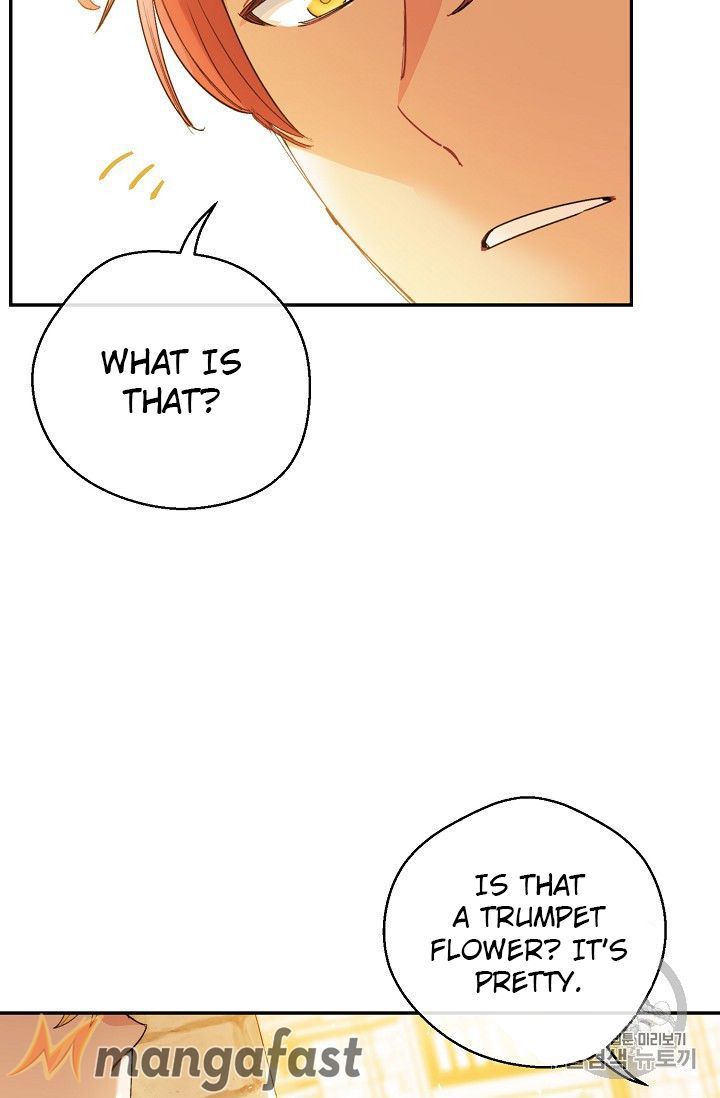 The Duchess 50 Tea Recipes Chapter 79 Page 20