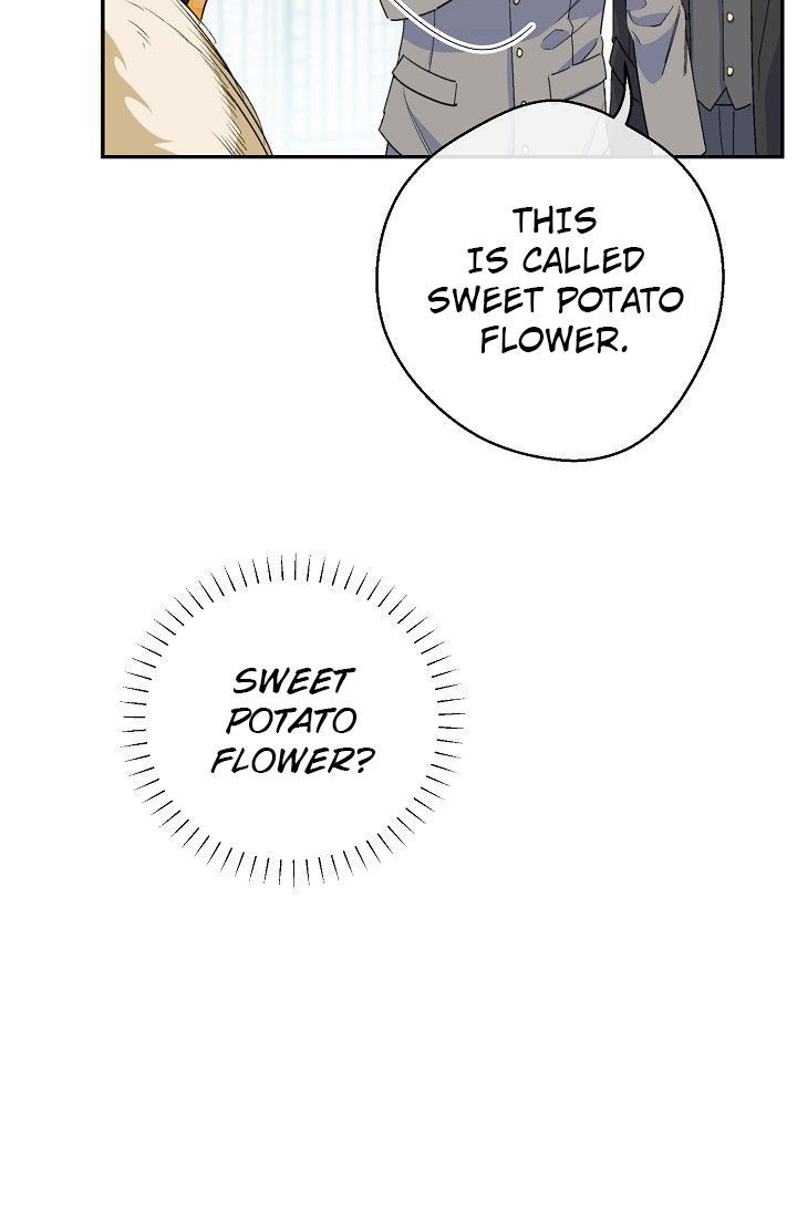 The Duchess 50 Tea Recipes Chapter 79 Page 64