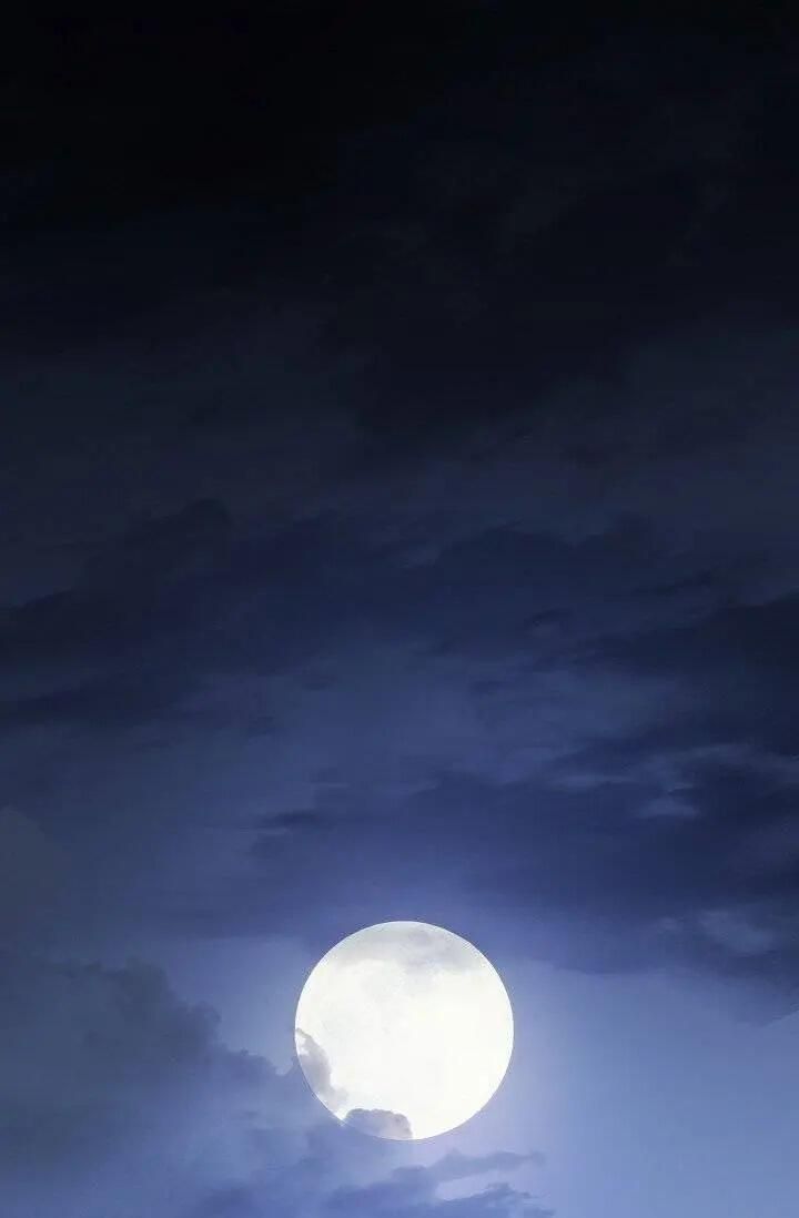 The Duchess 50 Tea Recipes Chapter 95 Page 1