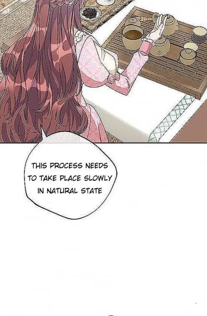 The Duchess 50 Tea Recipes Chapter 97 Page 39