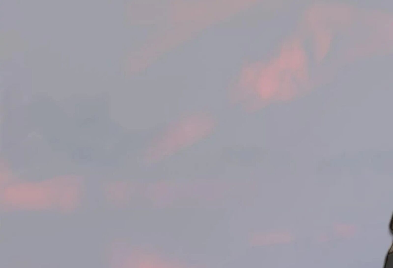 The Pale Horse Chapter 284 Page 3