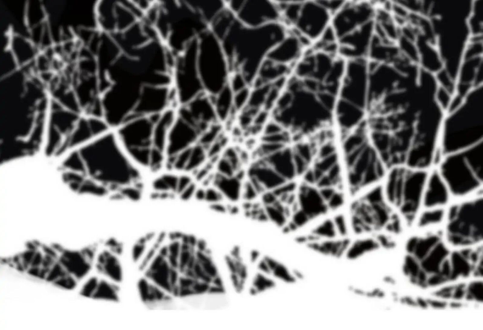 The Pale Horse Chapter 284 Page 42