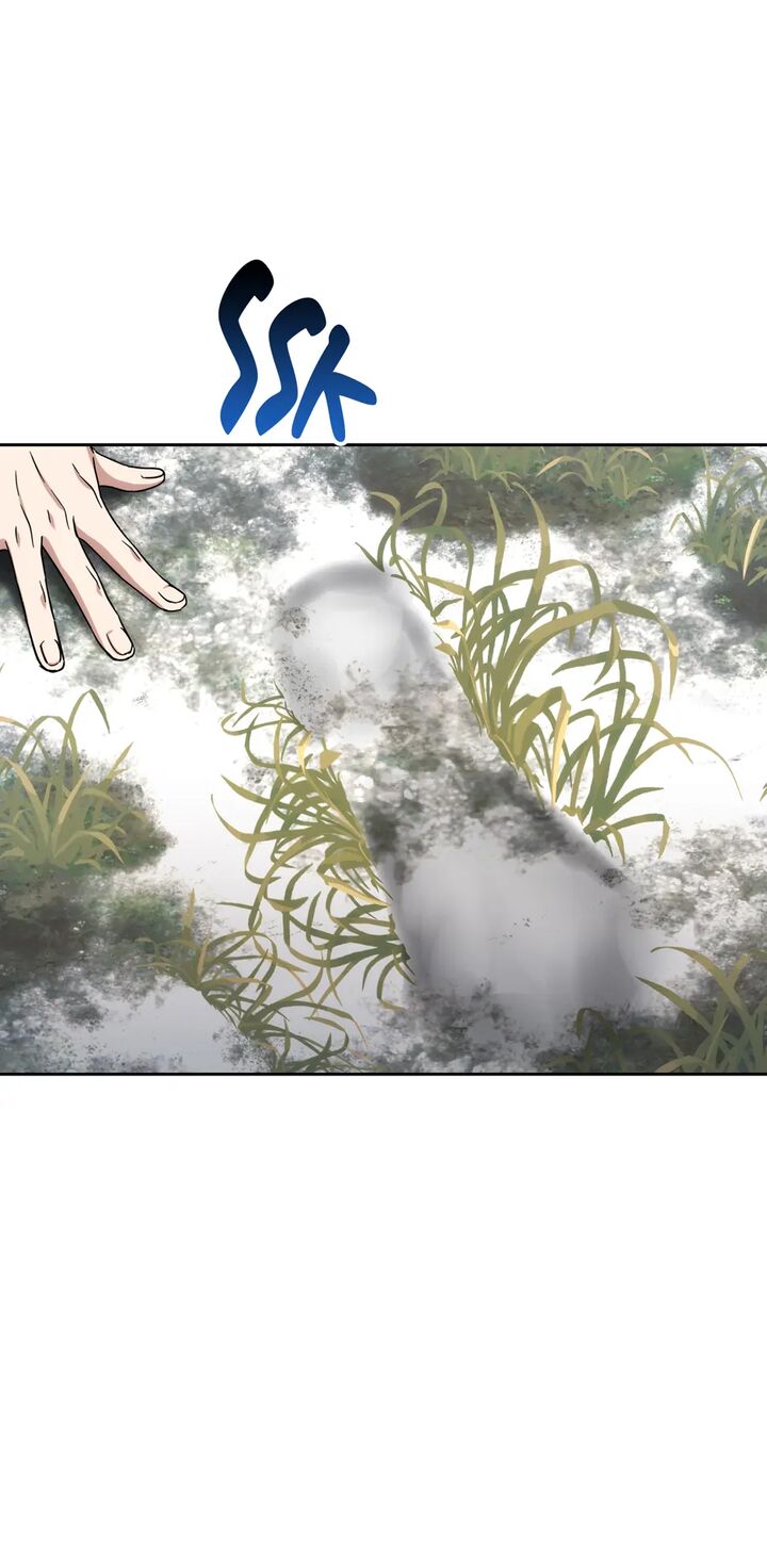The Reincarnated Assassin Is A Swordmaster Chapter 41 Page 14