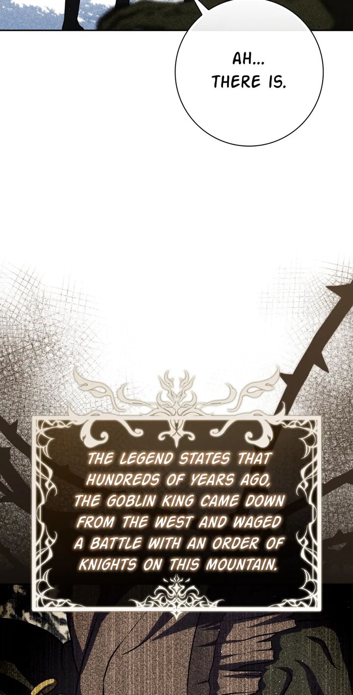 The Reincarnated Assassin Is A Swordmaster Chapter 41 Page 62
