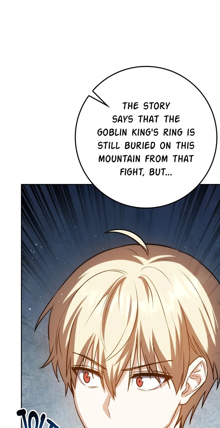 The Reincarnated Assassin Is A Swordmaster Chapter 41 Page 64