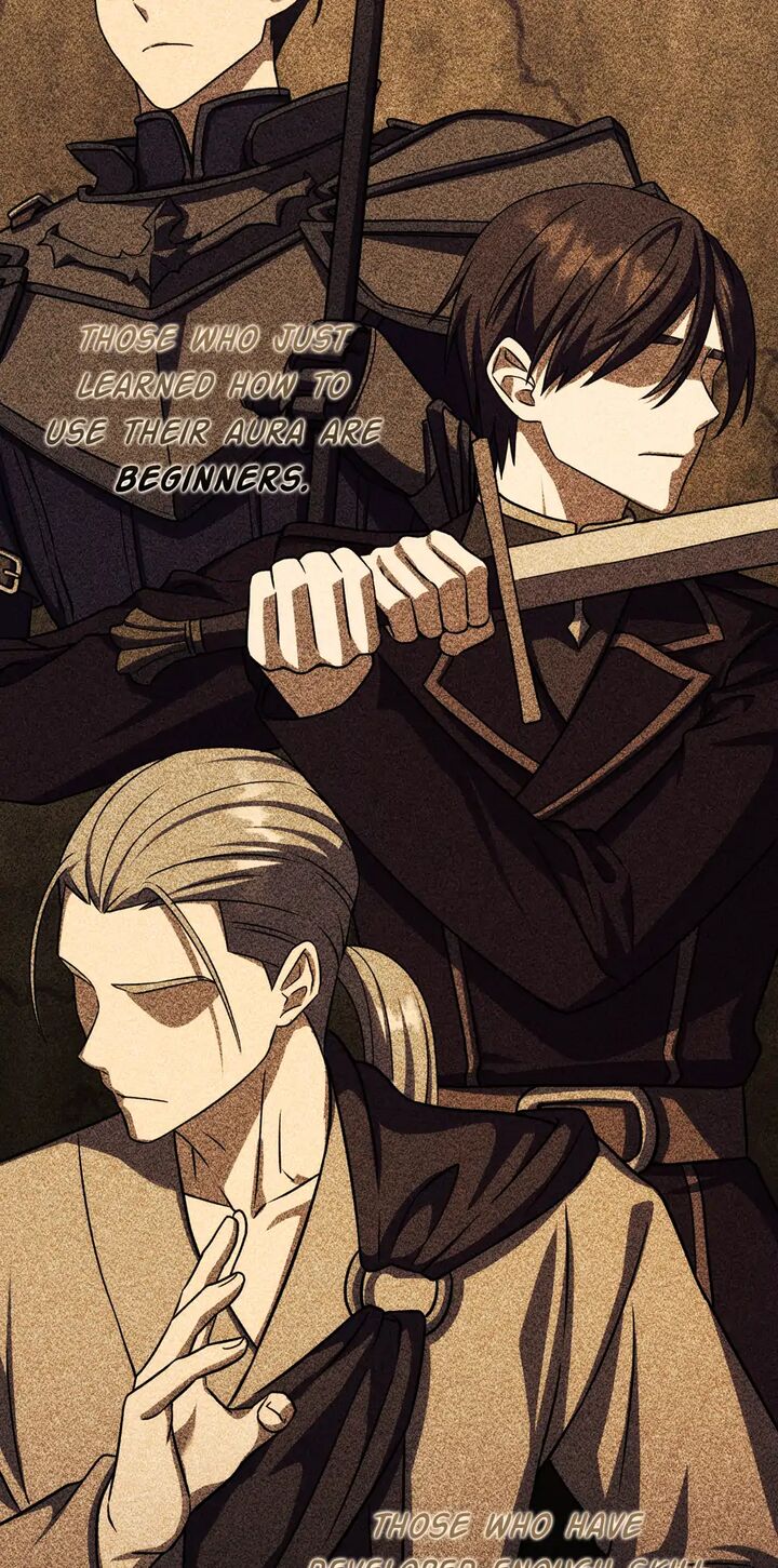 The Reincarnated Assassin Is A Swordmaster Chapter 48 Page 3