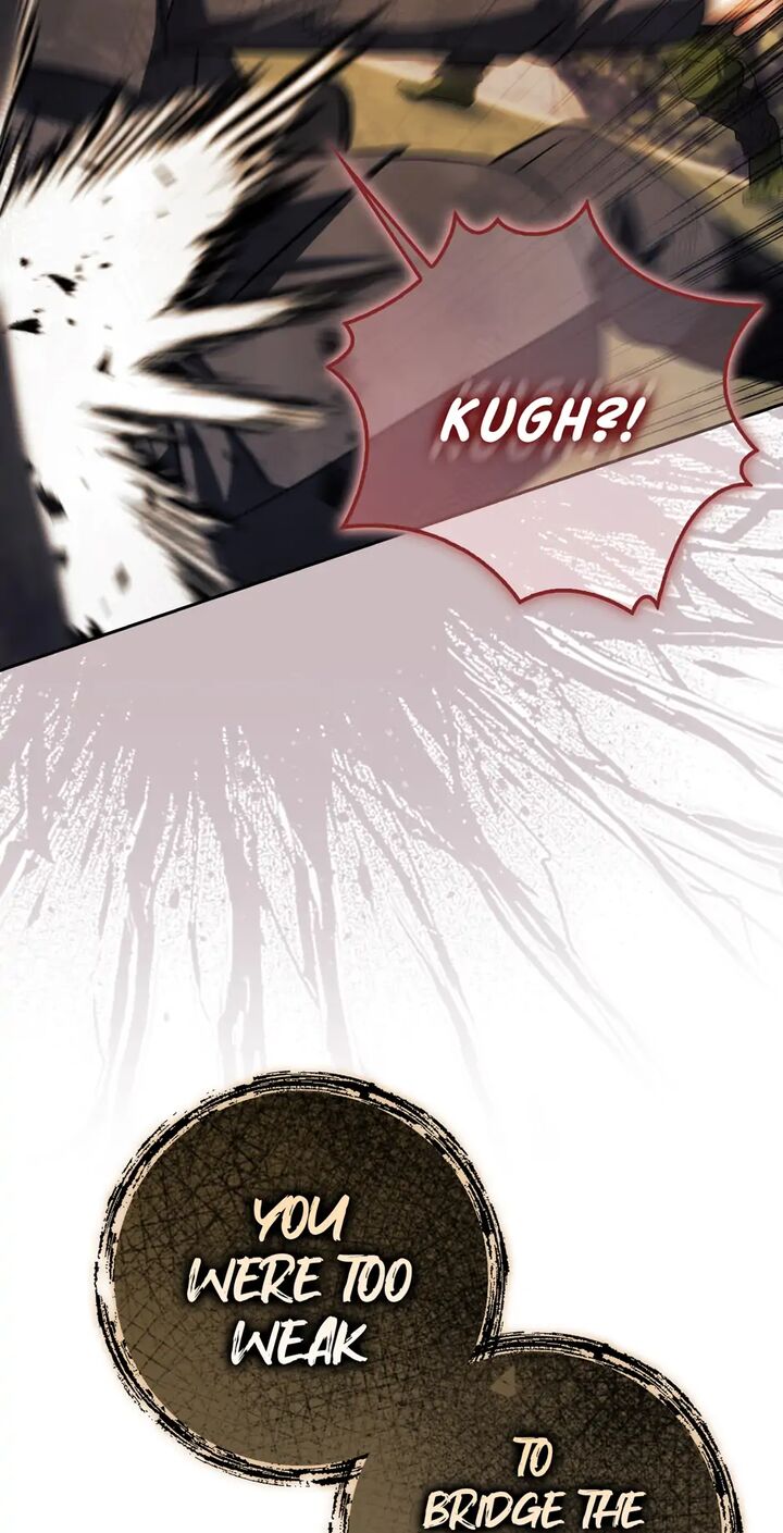 The Reincarnated Assassin Is A Swordmaster Chapter 48 Page 62