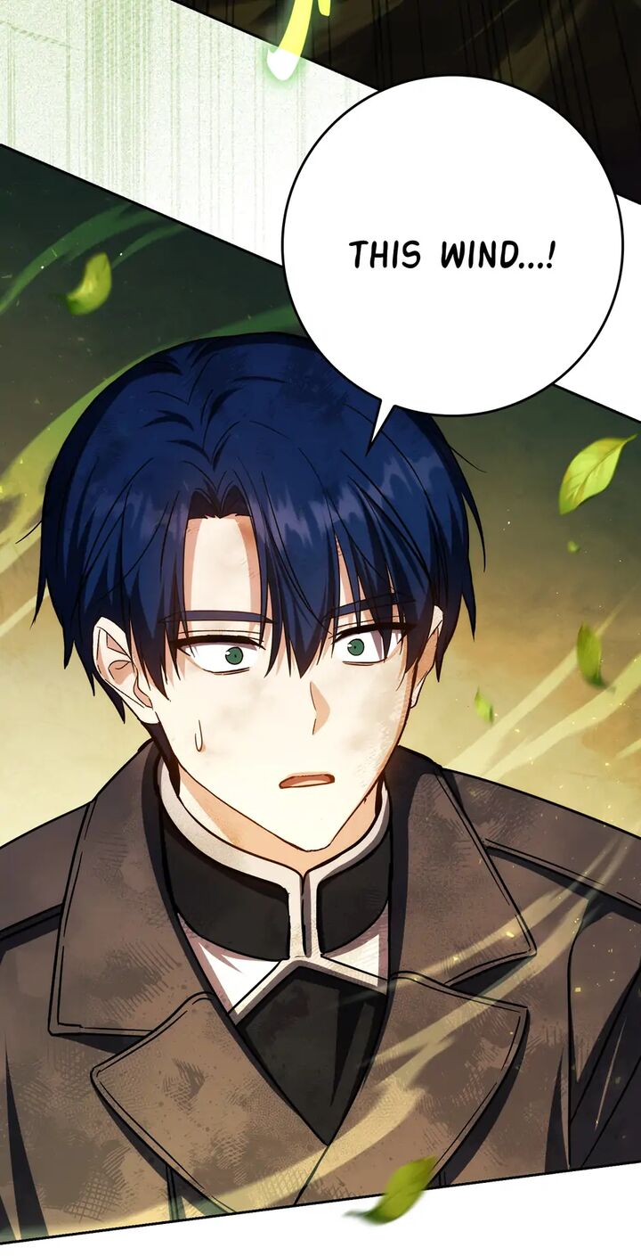 The Reincarnated Assassin Is A Swordmaster Chapter 49 Page 38