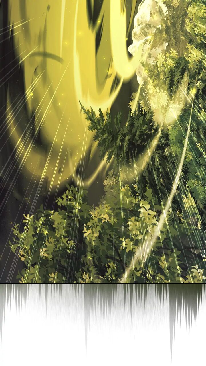 The Reincarnated Assassin Is A Swordmaster Chapter 50 Page 45