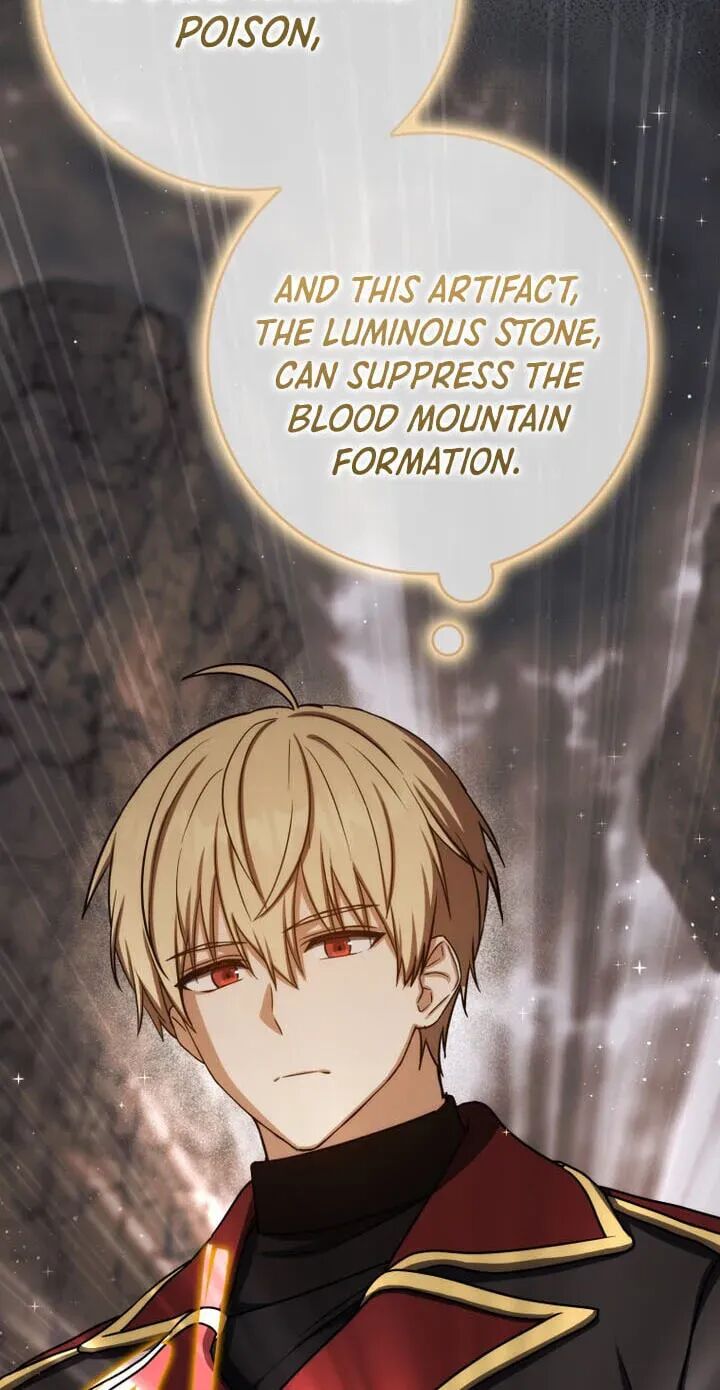 The Reincarnated Assassin Is A Swordmaster Chapter 95 Page 80