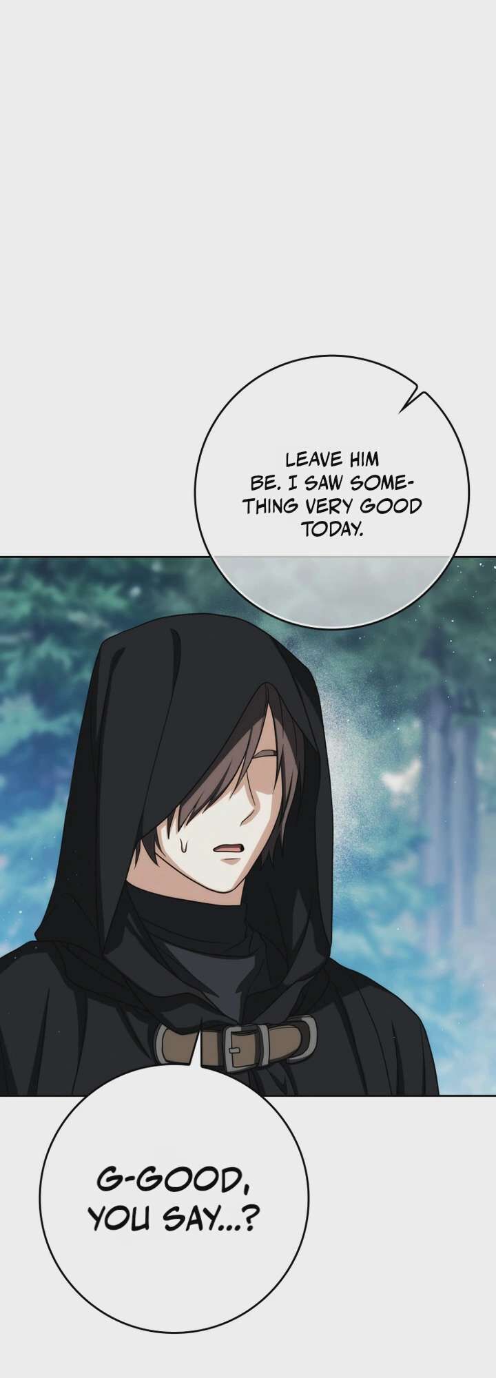 The Reincarnated Assassin Is A Swordmaster Chapter 98 Page 30
