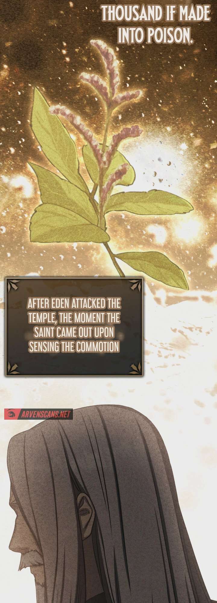The Reincarnated Assassin Is A Swordmaster Chapter 98 Page 69