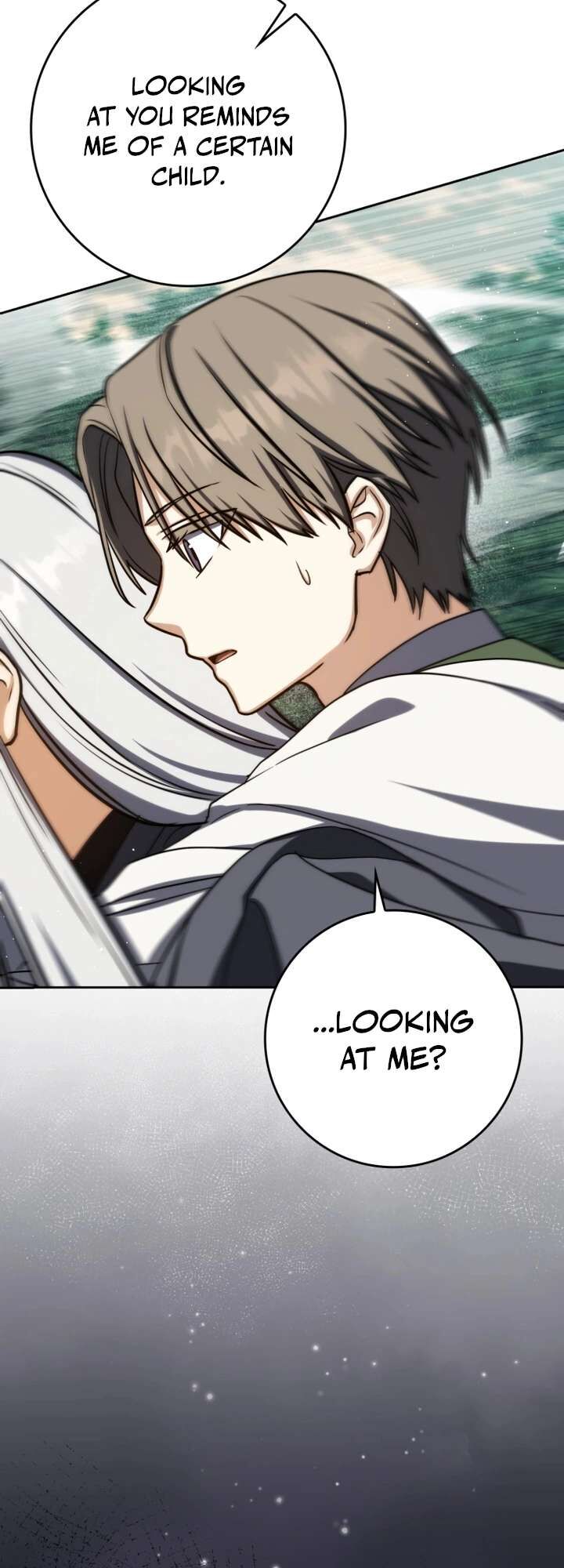 The Reincarnated Assassin Is A Swordmaster Chapter 99 Page 11
