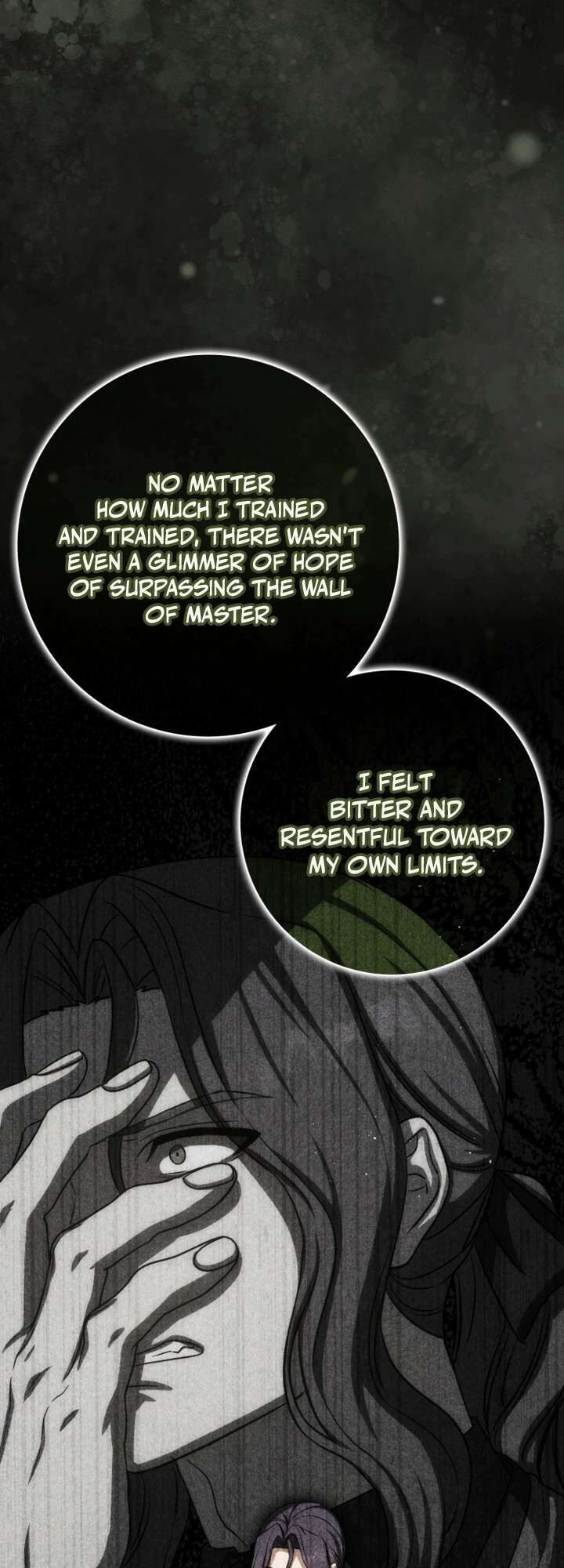 The Reincarnated Assassin Is A Swordmaster Chapter 99 Page 69