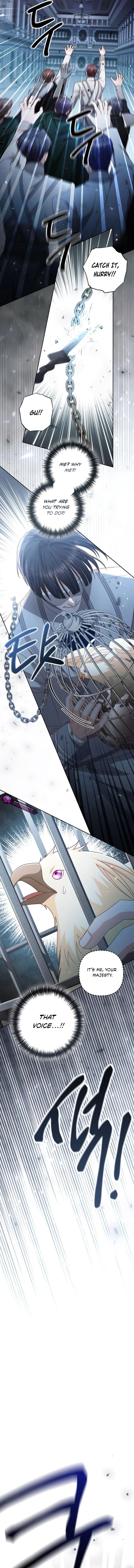 The Remarried Empress Chapter 232 Page 6