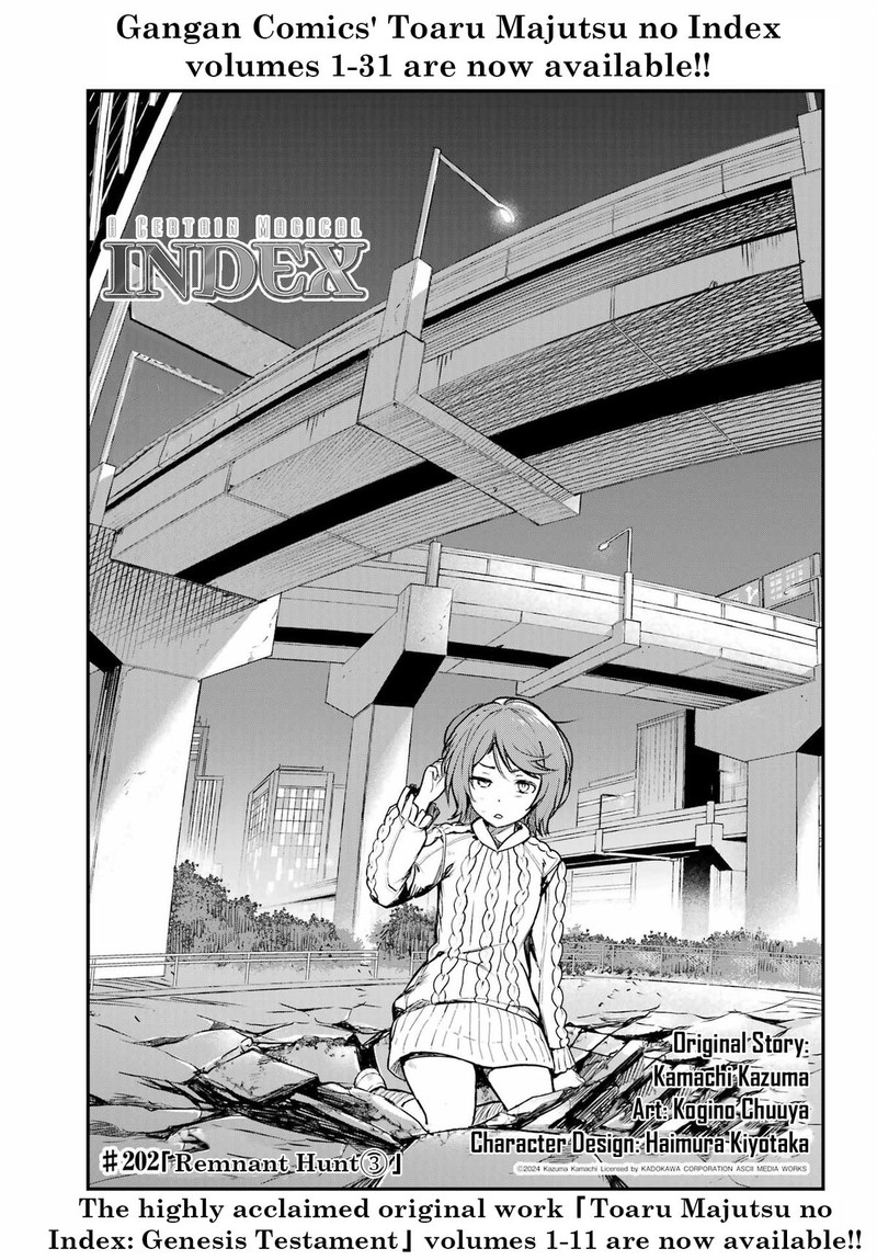 To Aru Majutsu No Index Chapter 202 Page 13