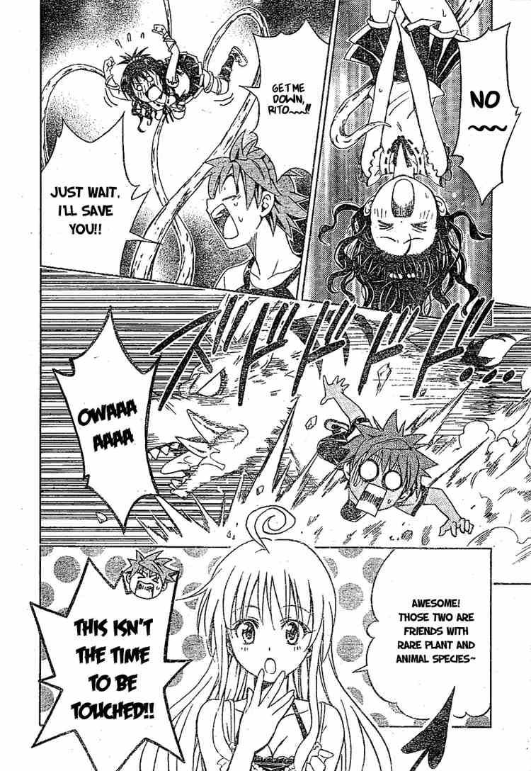 To Love Ru Chapter 108 Page 19