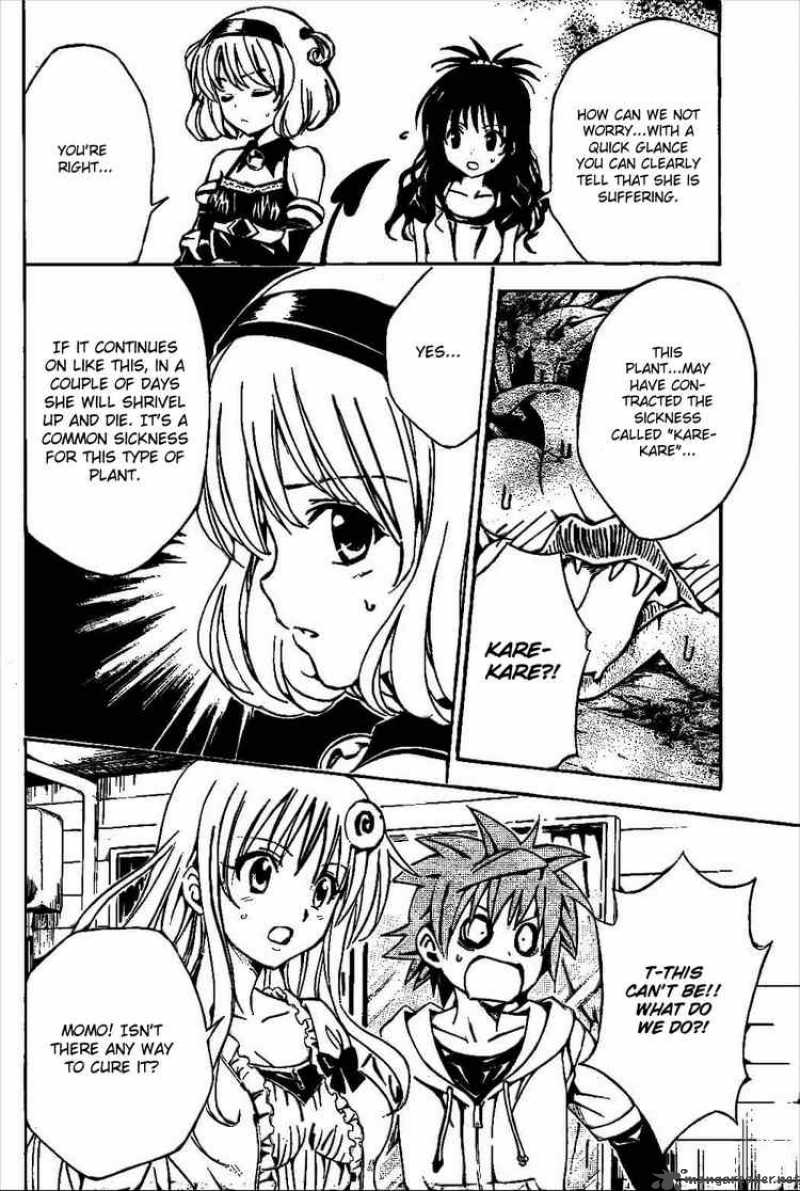 To Love Ru Chapter 124 Page 6