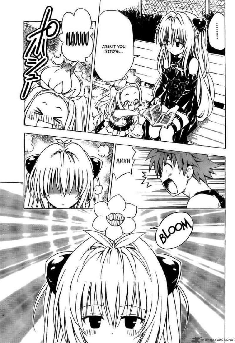 To Love Ru Chapter 158 Page 3