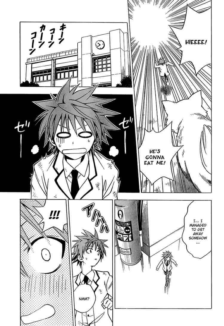 To Love Ru Chapter 29 Page 11