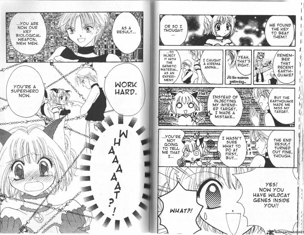 Tokyo Mew Mew Chapter 1 Page 26