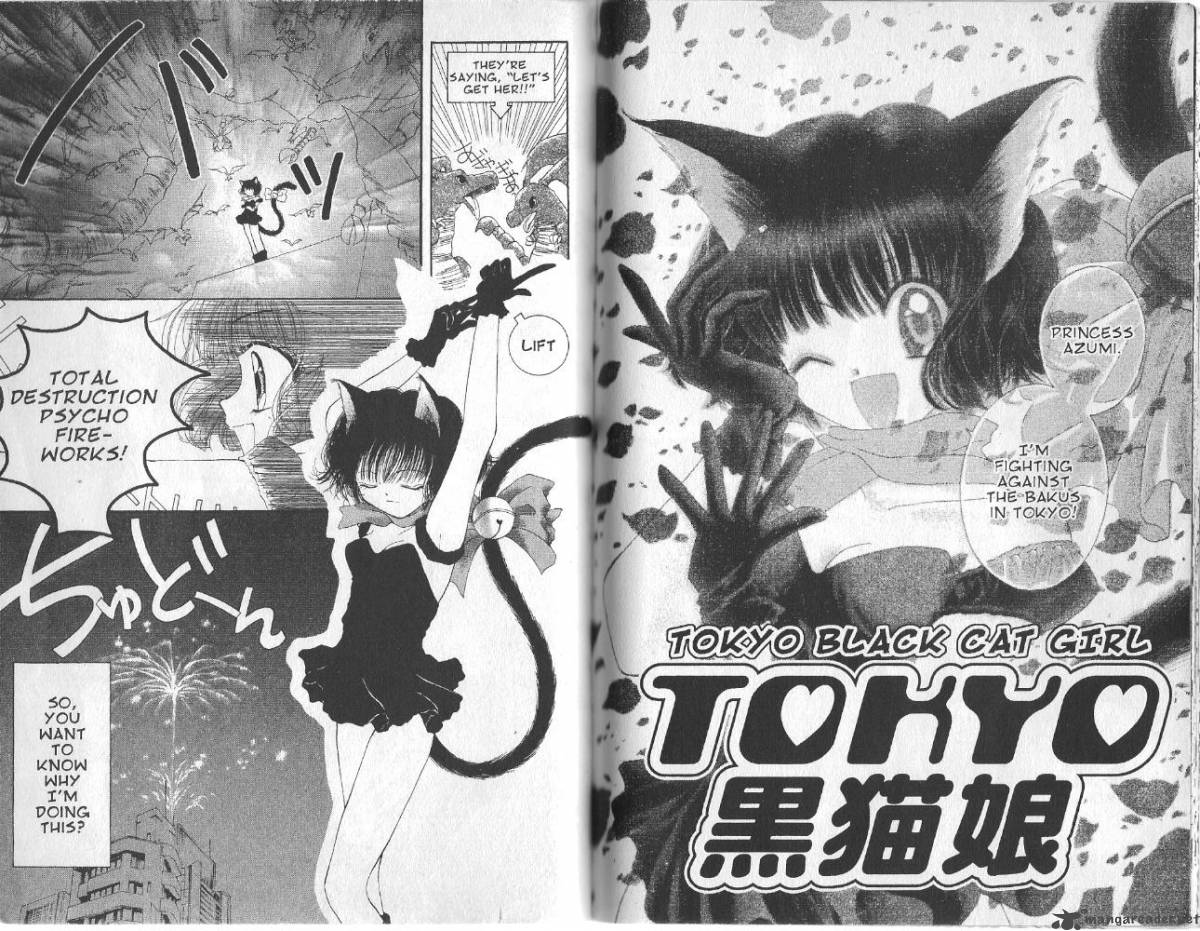 Tokyo Mew Mew Chapter 17 Page 25