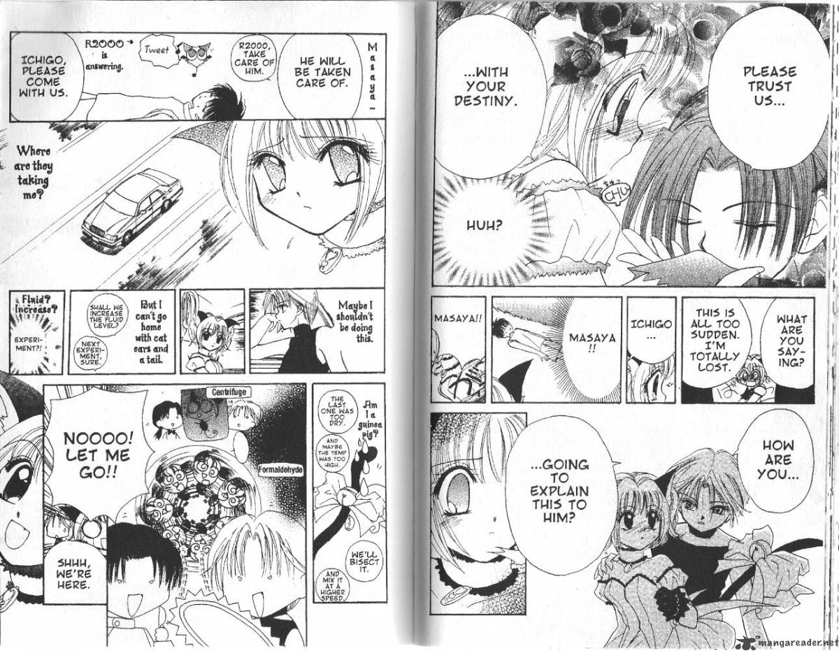 Tokyo Mew Mew Chapter 2 Page 2