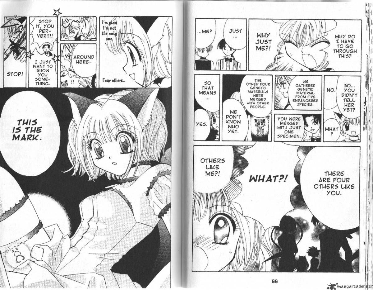 Tokyo Mew Mew Chapter 2 Page 5
