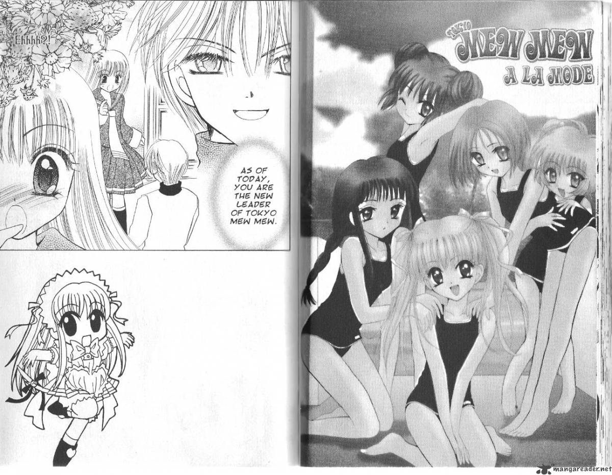 Tokyo Mew Mew A La Mode Chapter 4 Page 17