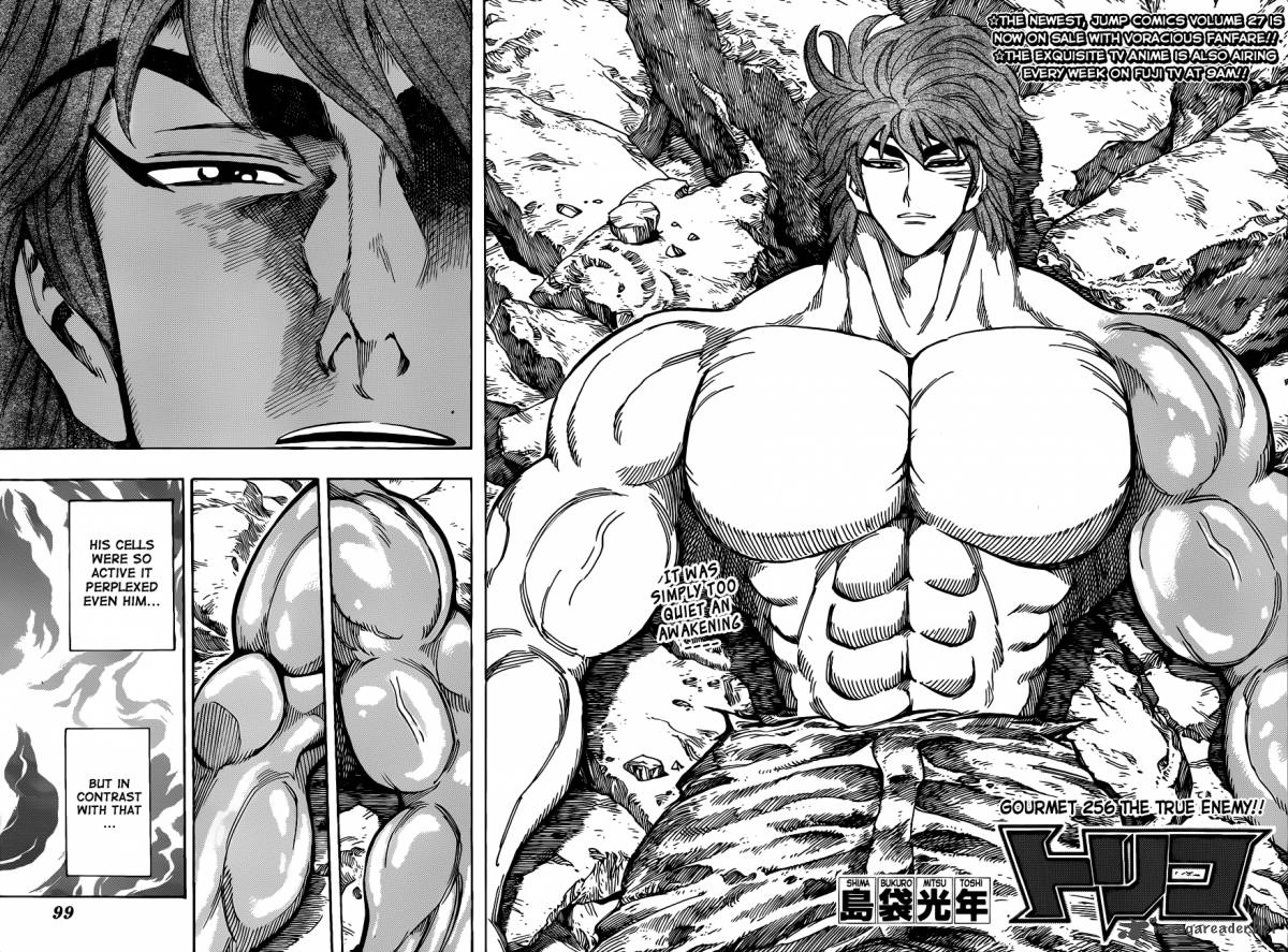 Toriko Chapter 256 Page 4