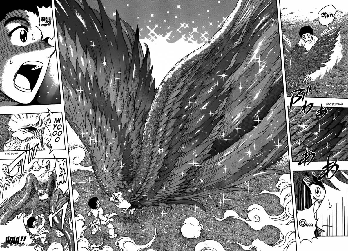 Toriko Chapter 268 Page 8