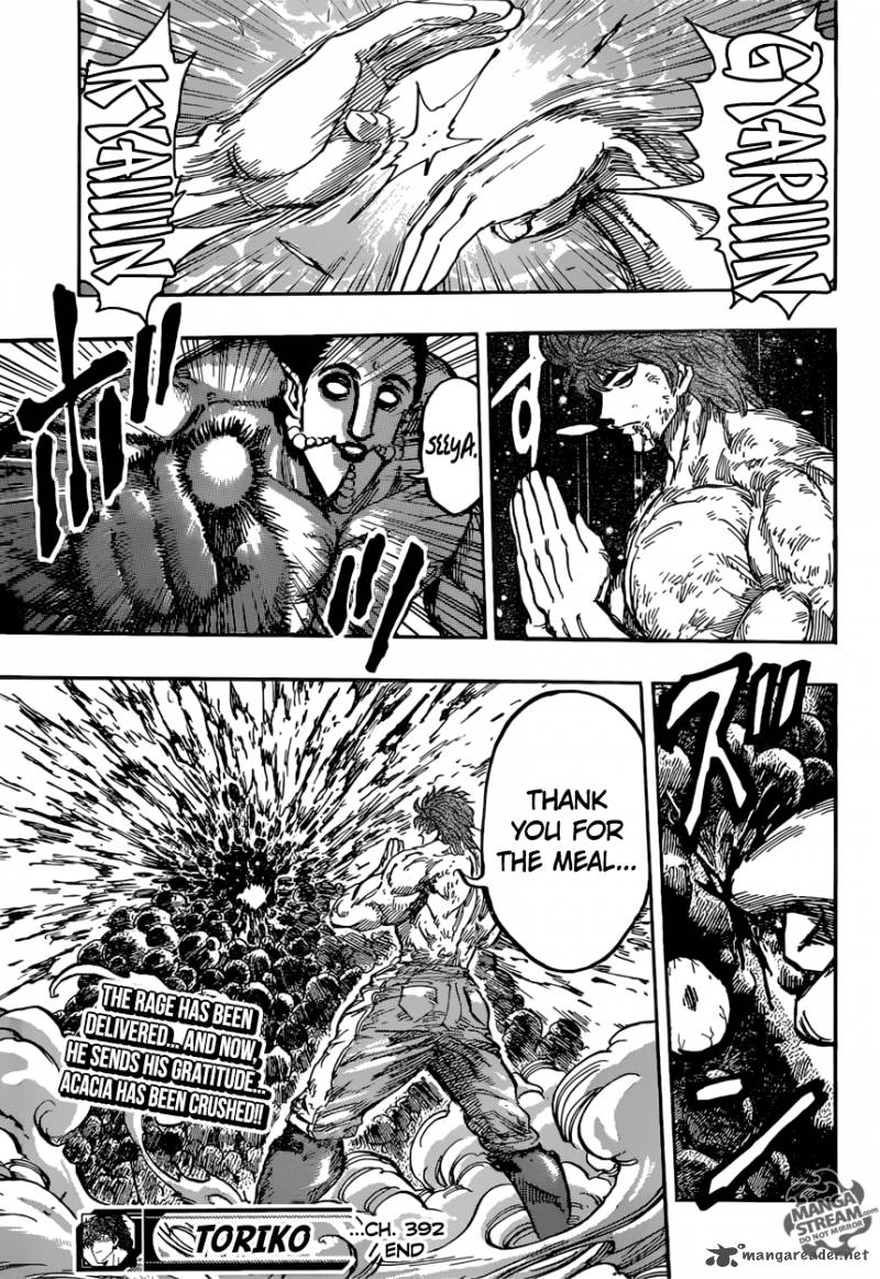 Toriko Chapter 392 Page 19