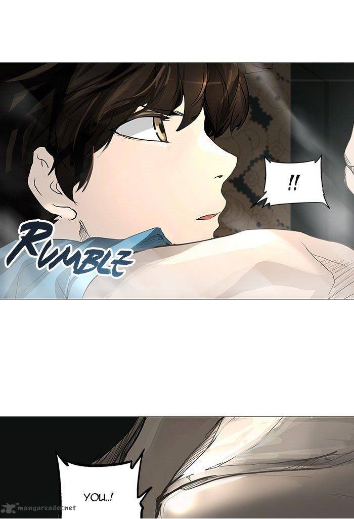 Tower Of God Chapter 249 Page 25