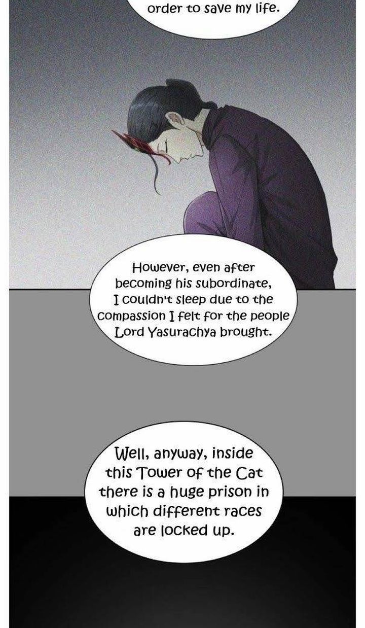 Tower Of God Chapter 491 Page 24