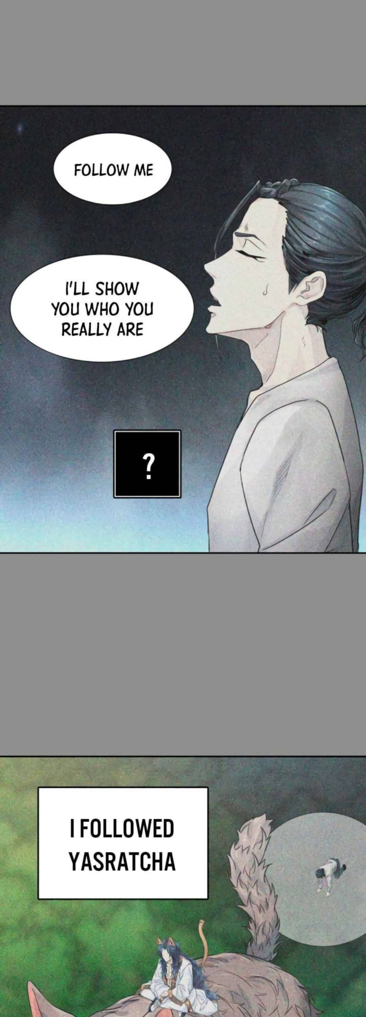 Tower Of God Chapter 494 Page 24