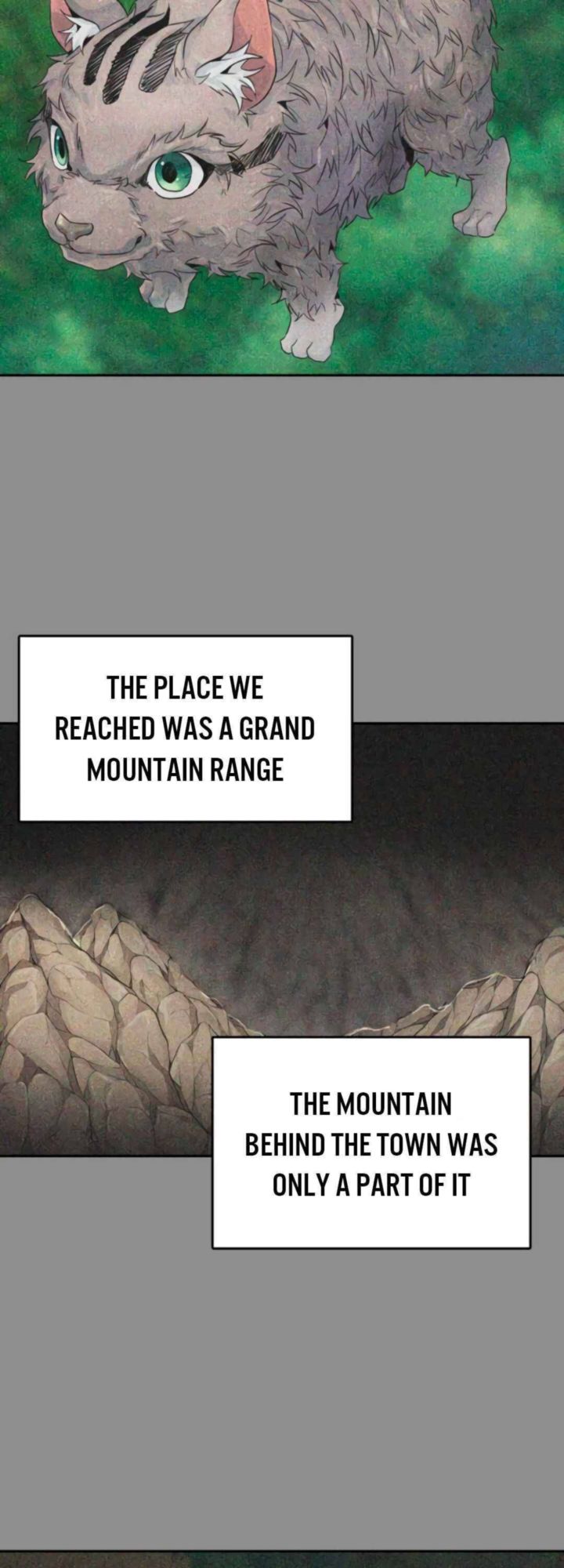 Tower Of God Chapter 494 Page 25