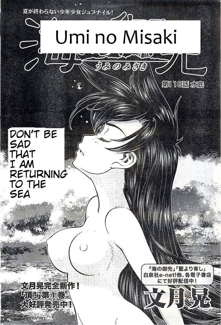Umi No Misaki Chapter 118 Page 1