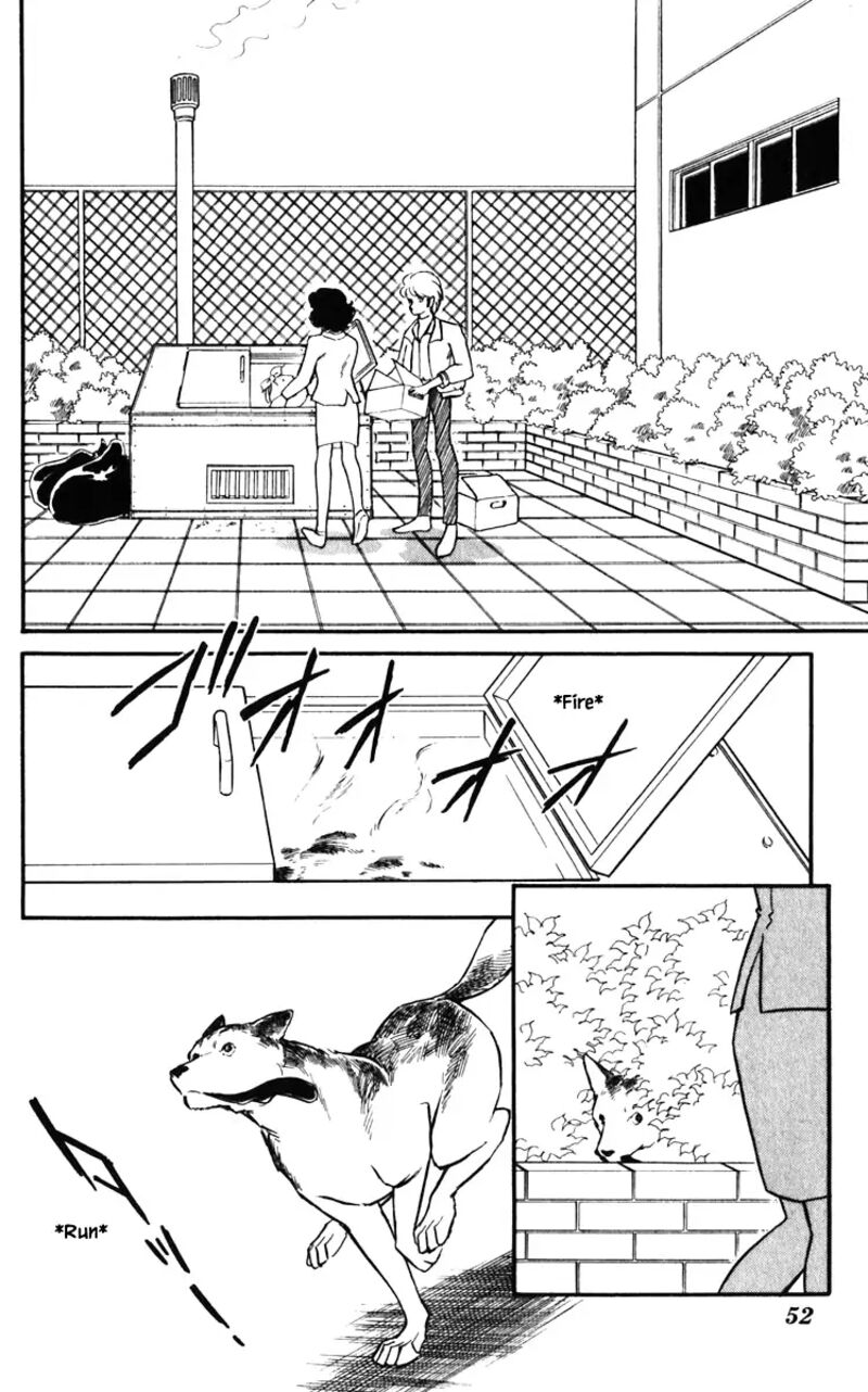 Umi No Yami Tsuki No Kage Chapter 130 Page 5