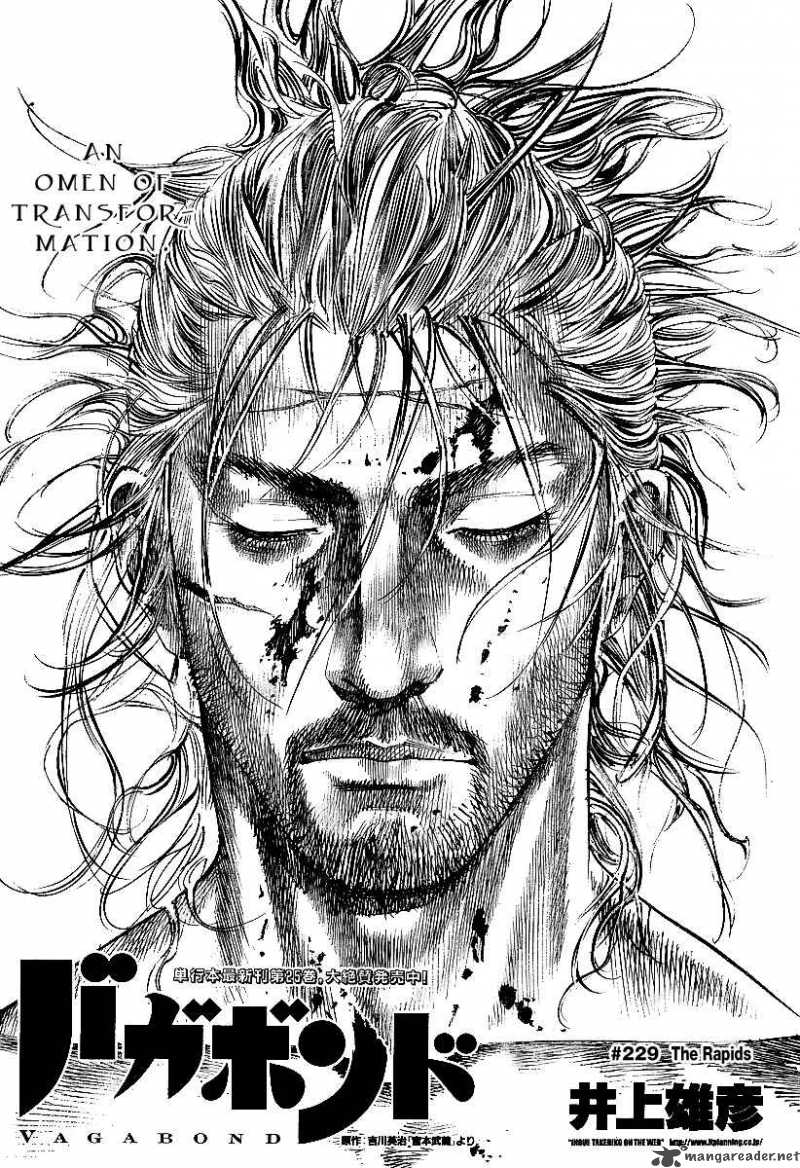 Vagabond Chapter 229 Page 1