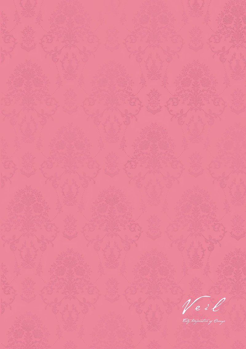 Veil Chapter 11 Page 4