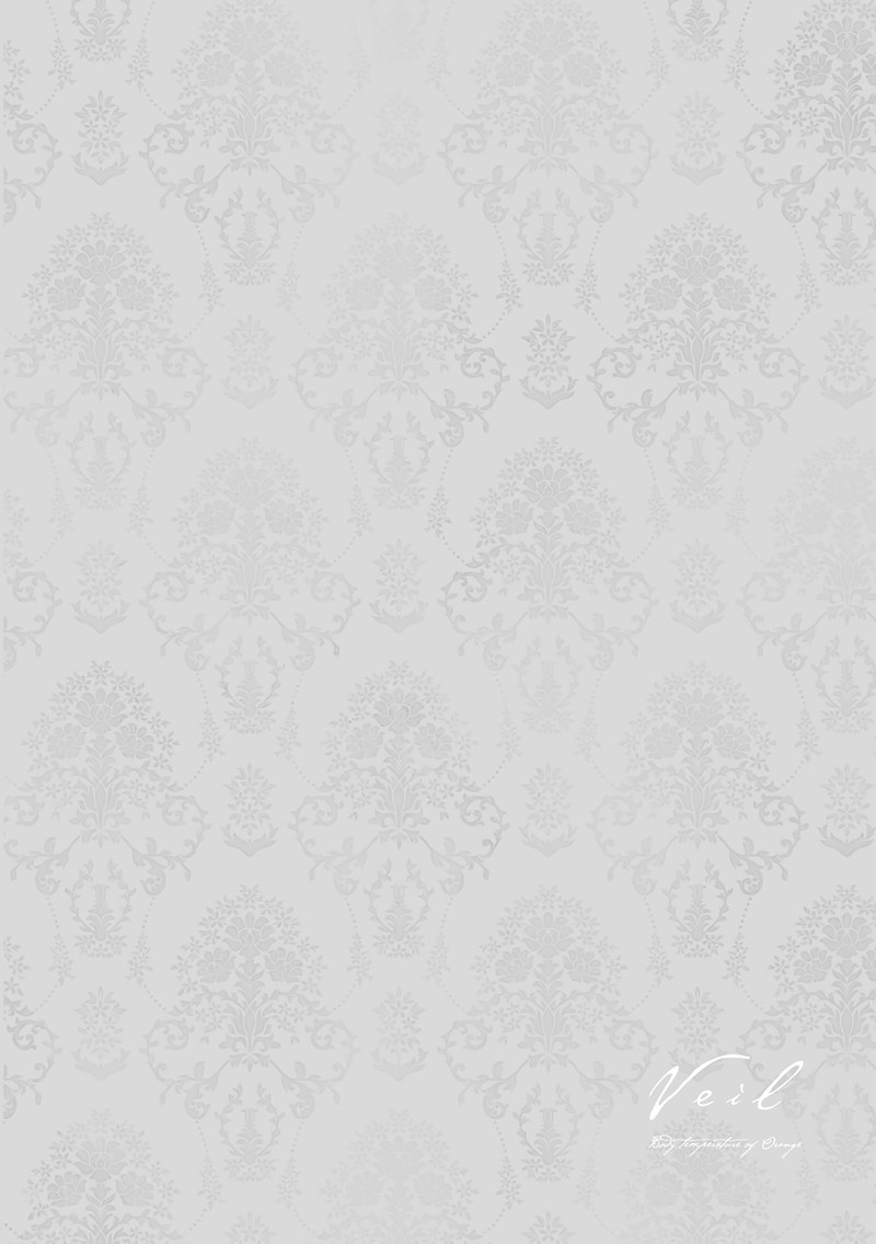 Veil Chapter 12 Page 10