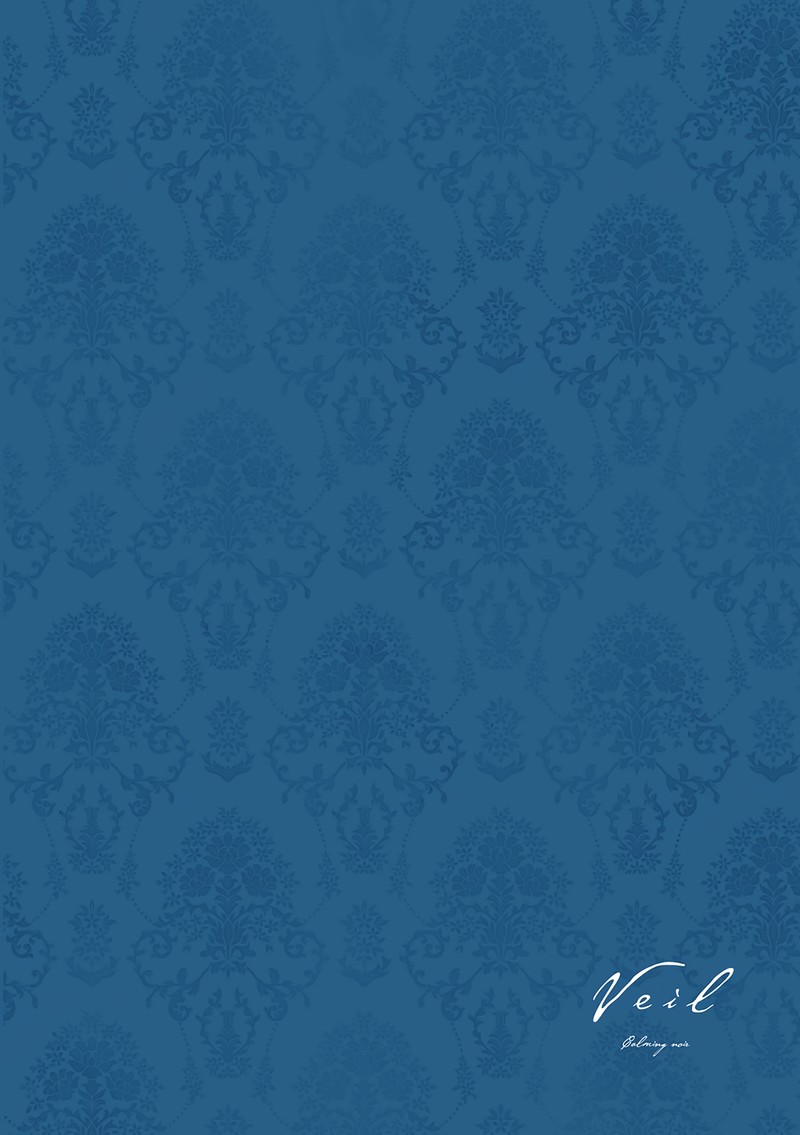 Veil Chapter 17 Page 17